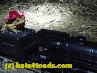 /home//u458753944/public_html/sourcegallery//Roxborough Toad Detour/2013-2019/2017/P4050680.JPG